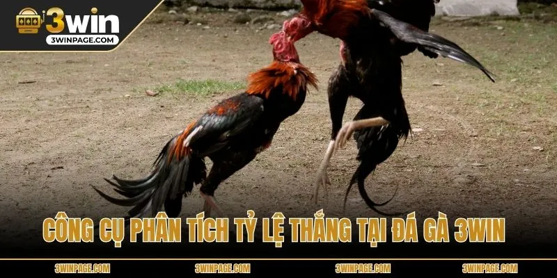 Công cụ phân tích tỷ lệ thắng tại Đá gà 33WIN 